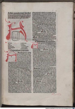 Liber pandectarum medicinae : mit Brief an Kardinal Francesco Gonzaga von Matthaeus Moretus