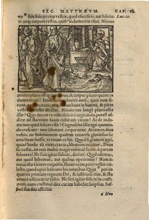 Novvm Testamentvm Iesv Christi, Filii Dei : Primò quidem studio & industria D. Erasmi Roterod. accuratè editum, nunc autem magna diligentia collatis compluribus exemplarijs denuò expressum. His Accesservnt Argvmenta singulorum capitum ... Cum Indice Euangeliorum & Epistolaru[m] ...