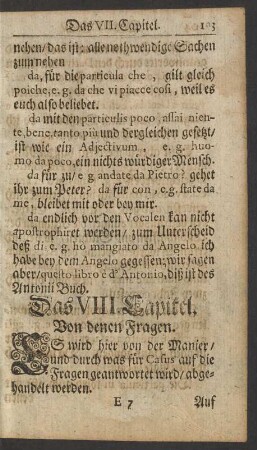Das VIII. Capitel. Von denen Fragen.