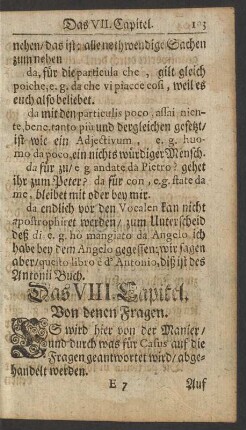Das VIII. Capitel. Von denen Fragen.
