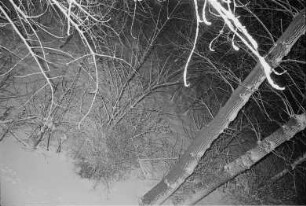 Blick auf verschneite Bäume
