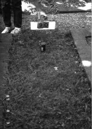 Grabstein 90 (Index: 100102228) Beschreibung: Stellvertreter Symbolik: Davidstern: Grabstein 90