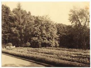 Gartenanlage Richard-Wagner-Festspielhaus, Bayreuth: Rosenbeete in einem Park