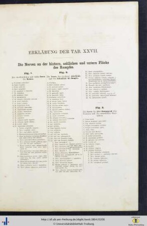 Erklärung der Tab. XXVII.