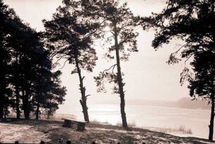 Schildhorn: Zugeschneite Havel