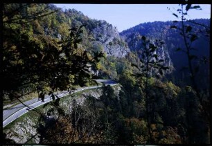 Bernau: Landstraße im Wald, bei Bernau