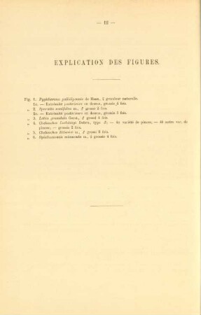 Explication des figures