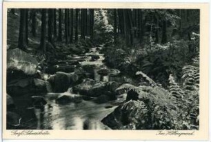 Großschweidnitz. Im Höllengrund