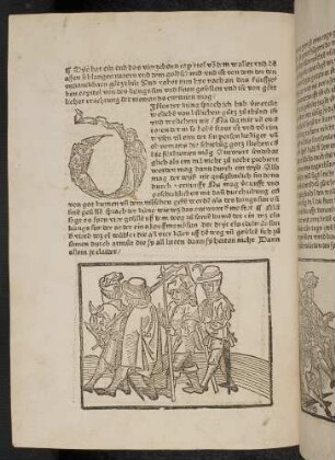 Der Königsohn und seine drei Weggefährten; (Kapitel XV: Von des Königs Sohne und seinen Gefährten); Figureninitiale