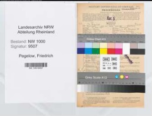 Entnazifizierung Friedrich Pegelow, geb. 16.09.1901 (Kaufmann)