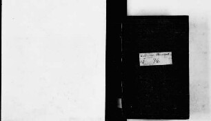 Journal Januar 1856 - August 1856 (Tagebücher)