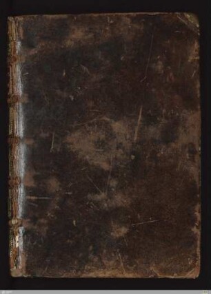 Lateinisches Stundenbuch - Cod.Don.332