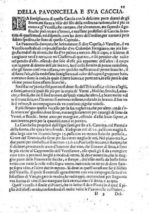 Dell Pavoncella e sua Caccia