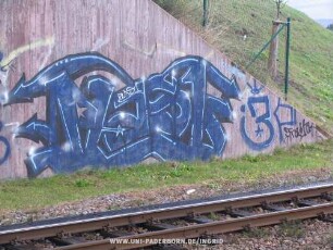 PLaS1