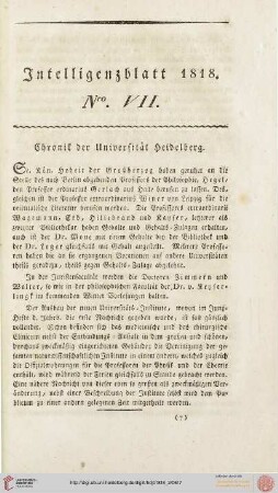 Intelligenzblatt Nro. VII