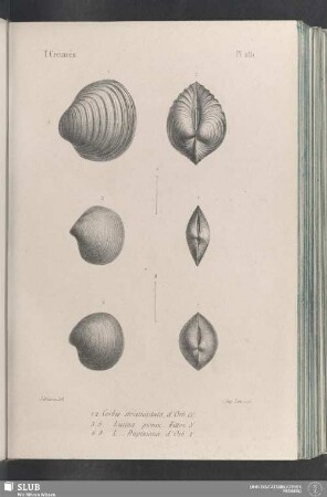 Pl. 281