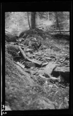 Domnetal (=Tal des Râul Doamnei, Fluss in Rumänien): schmales, trockenes Bett eines Gebirgsbaches (Nahaufnahme)