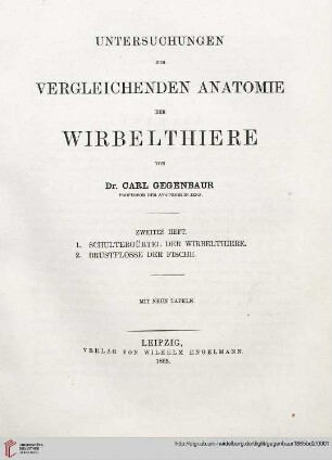 Heft 2: Untersuchungen zur vergleichenden Anatomie der Wirbelthiere: Schultergürtel der Wirbelthiere / Brustflosse der Fische