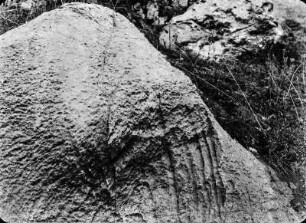 Felsen : Kratzspuren auf einem Felsen