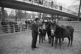 Winteraufenthalt der Zirkusdarsteller Helmbrecht und Karin Hoppe mit ihren "unreitbaren" Eseln im Karlsruher Zoo