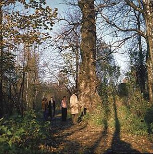 Hansjakob, Gottfried; München - Oberföhring; Isarinsel - Isarinsel, Spaziergänger im Wald