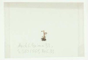 [Beil. 33]