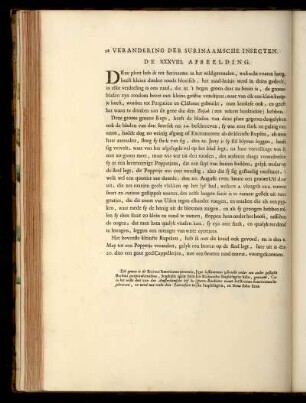 De XXXVIII. Afbeelding