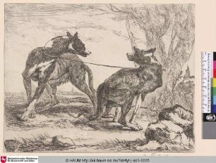 [Zwei Hunde vor einem Baum; Two Dogs in front of a Tree]