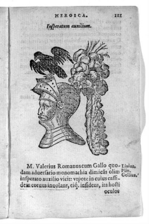 Insperatum auxilium.