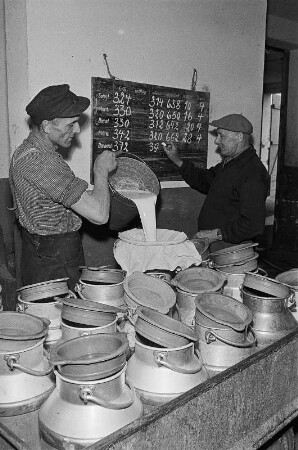 Volksgut Dresden-Prohlis (Rinderoffenstall), Milchproduktion.