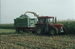 Fotografie: Ernteverfahren, Feldhäcksler selbstfahrend, Zweiachsanhänger, Parallelverfahren