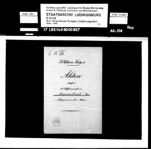 Der Bureaukrat. Lustspiel von Gustav von Moser