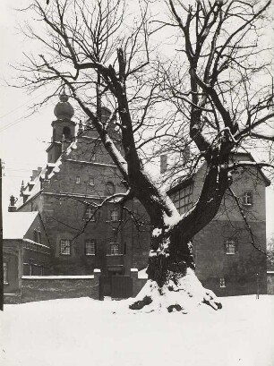 Prießnitz, Schloss : Prießnitz. Schloß. Giebelansicht mit mächtiger Linde. Winteraufnahme