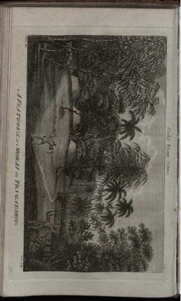 A Fiatooka or Morai in Tongataboo
