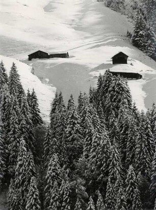 Idylle und Ruhe im Bregenzerwald