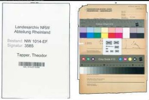 Entnazifizierung Theodor Tapper , geb. 00.00.0000 ()