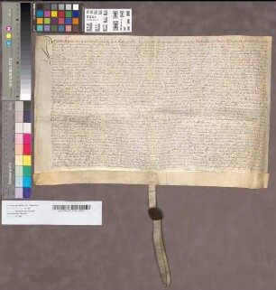 Urkunde, die sich auf die testamentarische Verfügung der virginis Elisabeth Frie (oder Freie) bezieht.
