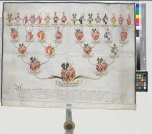 Proband: Riedesel zu Eisenbach und Hermannsburg, Anna Dorothea Sophia; Vater: Riedesel zu Eisenbach und Hermannsburg, Johann Ludwig; Mutter: Riedesel zu Eisenbach, Catharina Eleonora: [Schildesche, Stift]