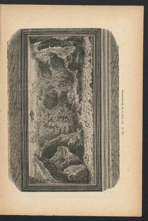 Tafel: Fig. 17. Ein Blick in ein See-Aquarium.