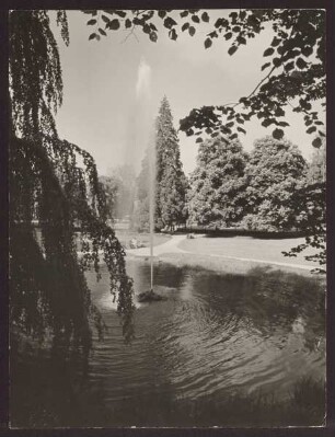 Palaisgarten Teich mit Fontaine. Detmold. Neustadt. Papierabzug