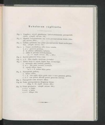 Tabularum explicatio.