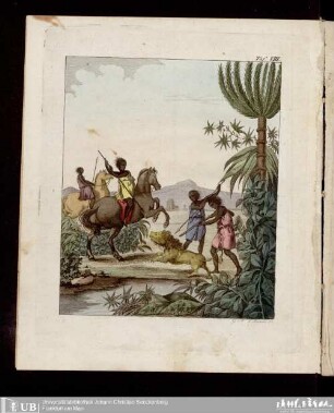 2: Afrika