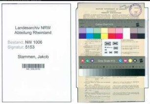 Entnazifizierung Jakob Stammen , geb. 28.12.1905 (Tierarzt)