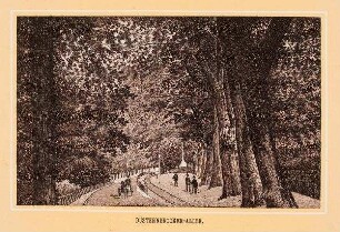 Kiel - Düsternbrooker Allee