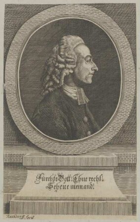 Bildnis des Johann Wilhelm von Brandenstein
