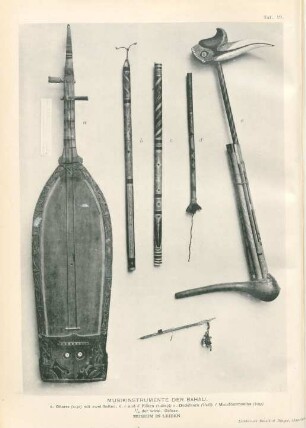 Taf. 19. Musikinstrumente der Bahau