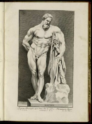 [Abb.] 11. Hercules