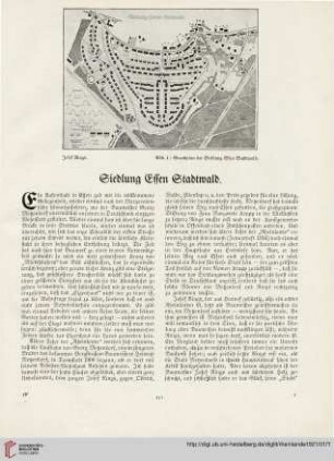 31: Siedlung Essen Stadtwald