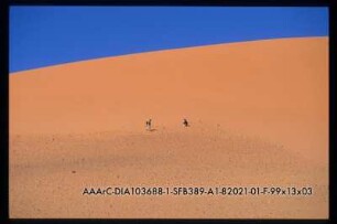 Wadi Bakht, 82/21-1