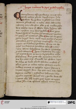 Thomas Gallus (?), De septem gradibus contemplationis
